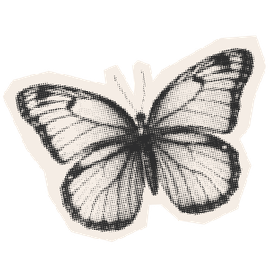 Xime Polloni Coach de Imagen Consciente - Transformación y metamorfosis personal
